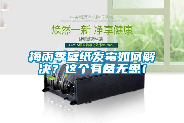 梅雨季壁紙發(fā)霉如何解決？這個有備無患！