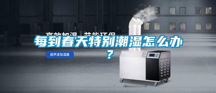 每到春天特別潮濕怎么辦？