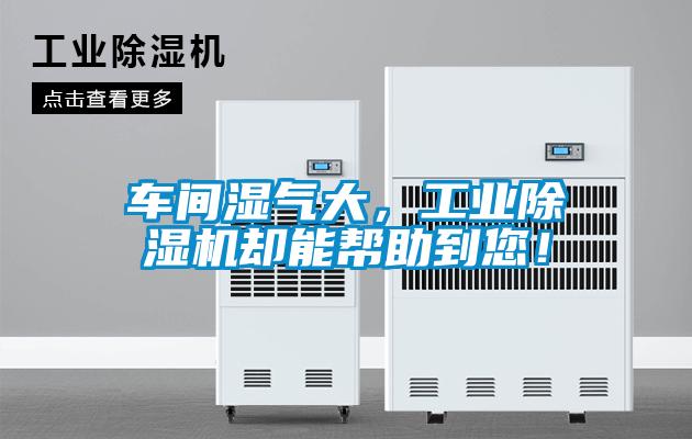 車間濕氣大，工業(yè)除濕機卻能幫助到您！