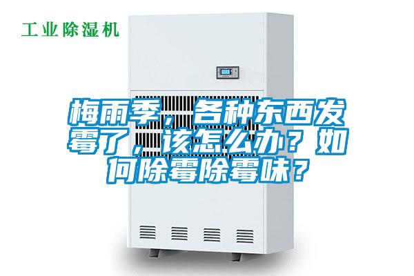 梅雨季，各種東西發(fā)霉了，該怎么辦？如何除霉除霉味？