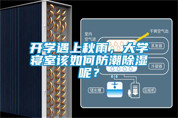 開學(xué)遇上秋雨，大學(xué)寢室該如何防潮除濕呢？