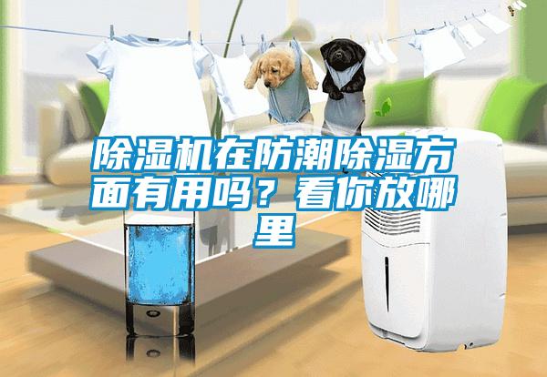 除濕機(jī)在防潮除濕方面有用嗎？看你放哪里