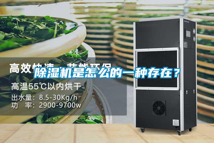 除濕機(jī)是怎么的一種存在？