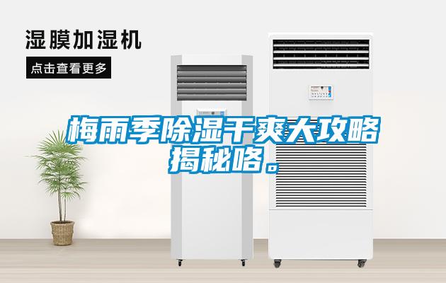 梅雨季除濕干爽大攻略揭秘咯。