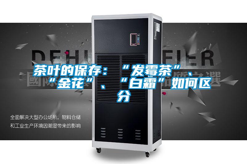 茶葉的保存：“發(fā)霉茶”、“金花”、“白霜”如何區(qū)分