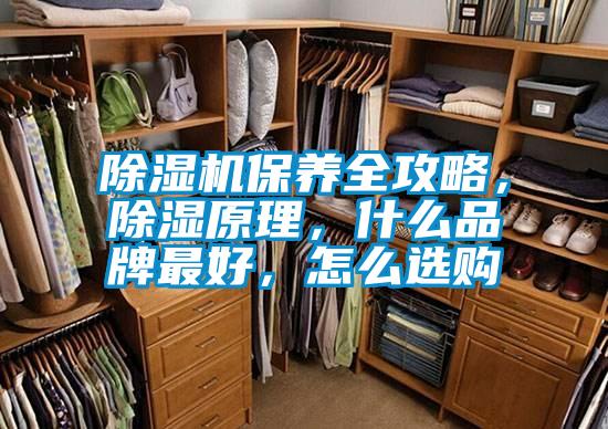 除濕機保養(yǎng)全攻略，除濕原理，什么品牌最好，怎么選購