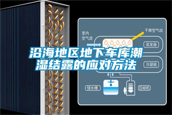 沿海地區(qū)地下車庫潮濕結(jié)露的應對方法