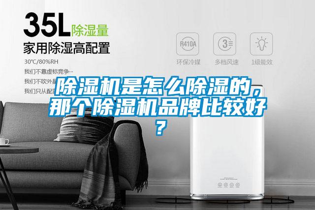 除濕機(jī)是怎么除濕的，那個(gè)除濕機(jī)品牌比較好？