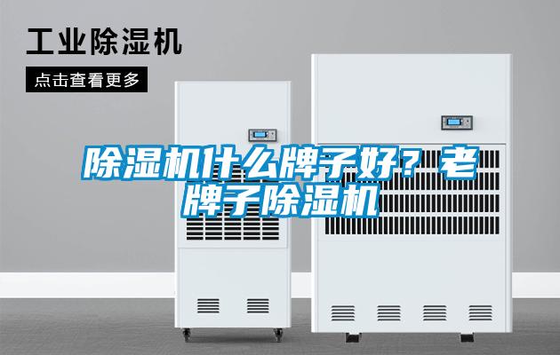 除濕機什么牌子好？老牌子除濕機