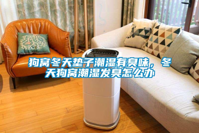狗窩冬天墊子潮濕有臭味，冬天狗窩潮濕發(fā)臭怎么辦