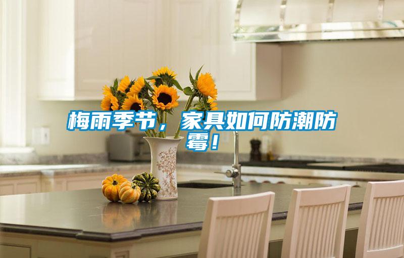 梅雨季節(jié)，家具如何防潮防霉！
