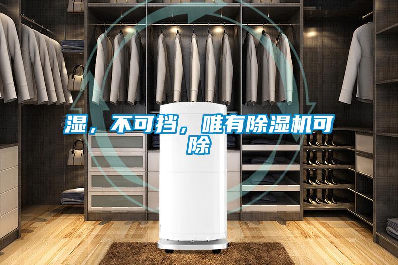 濕，不可擋，唯有除濕機可除