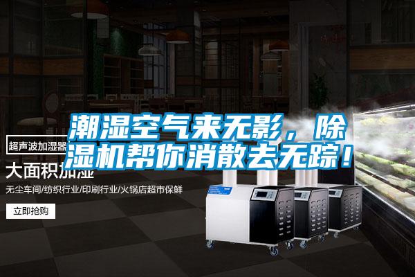 潮濕空氣來無影，除濕機幫你消散去無蹤！