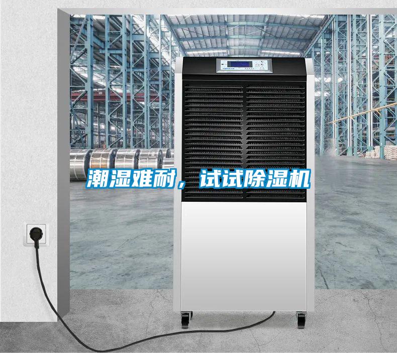 潮濕難耐，試試除濕機