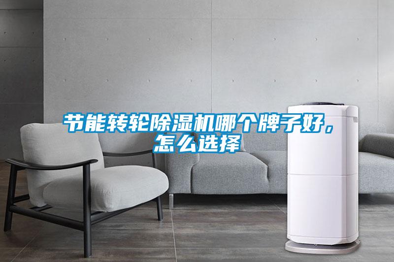 節(jié)能轉(zhuǎn)輪除濕機(jī)哪個(gè)牌子好，怎么選擇