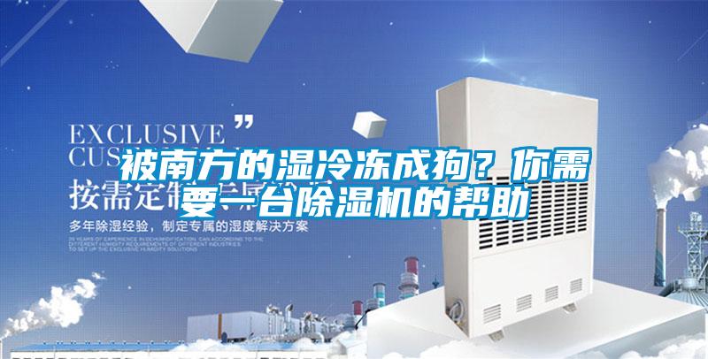 被南方的濕冷凍成狗？你需要一臺除濕機(jī)的幫助