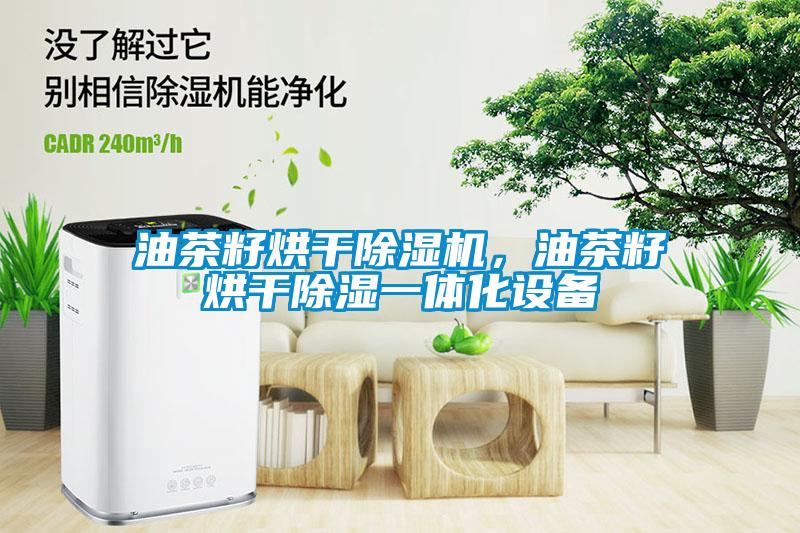 油茶籽烘干除濕機，油茶籽烘干除濕一體化設備