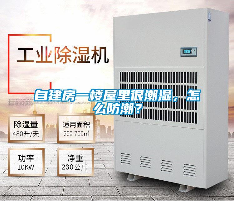 自建房一樓屋里很潮濕，怎么防潮？