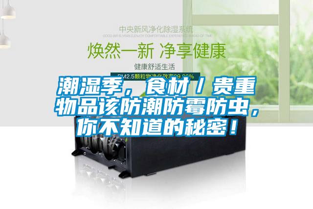 潮濕季，食材／貴重物品該防潮防霉防蟲，你不知道的秘密！