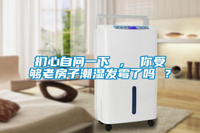 捫心自問一下 ， 你受夠老房子潮濕發(fā)霉了嗎 ？
