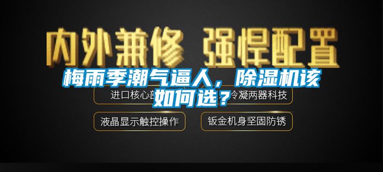 梅雨季潮氣逼人，除濕機(jī)該如何選？