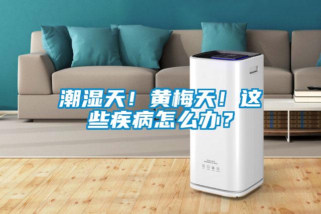 潮濕天！黃梅天！這些疾病怎么辦？