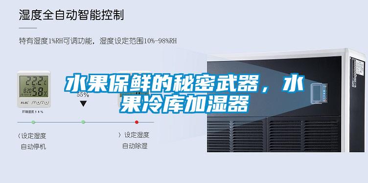 水果保鮮的秘密武器，水果冷庫加濕器