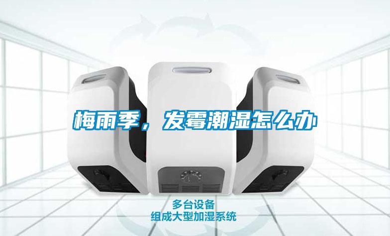 梅雨季，發(fā)霉潮濕怎么辦