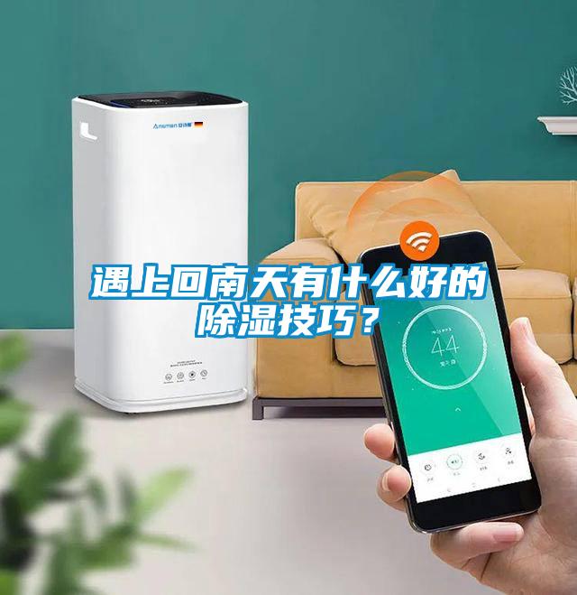 遇上回南天有什么好的除濕技巧？