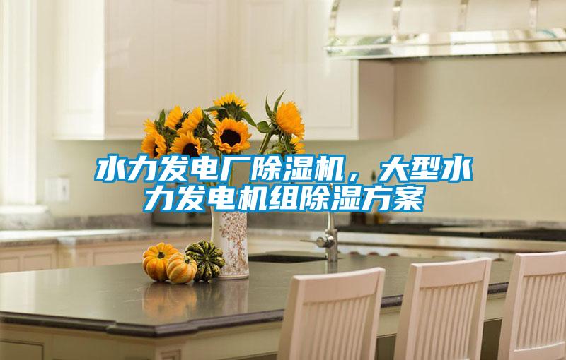 水力發(fā)電廠除濕機(jī)，大型水力發(fā)電機(jī)組除濕方案
