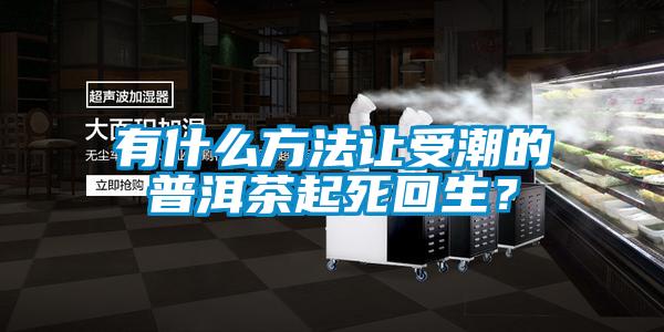 有什么方法讓受潮的普洱茶起死回生？