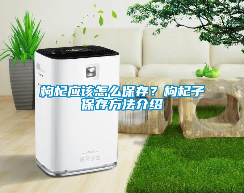 枸杞應(yīng)該怎么保存？枸杞子保存方法介紹