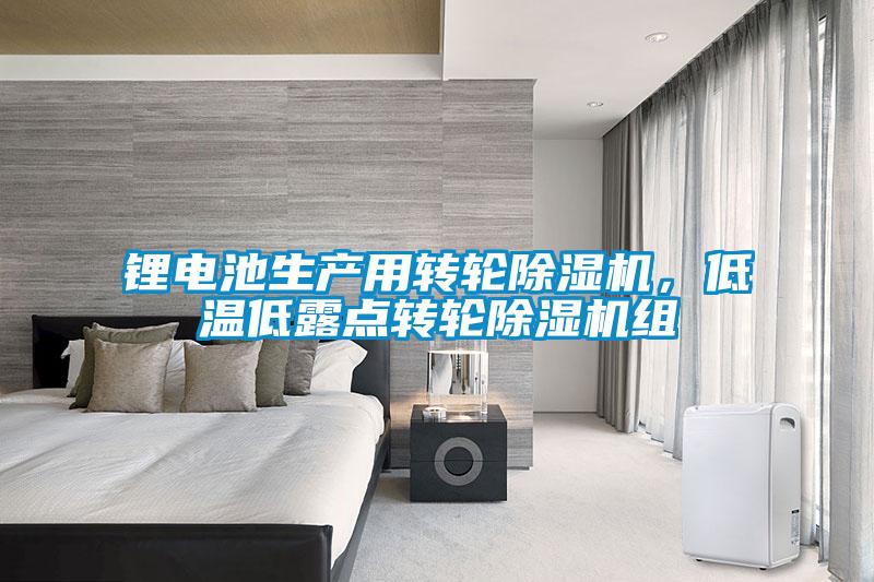 鋰電池生產(chǎn)用轉(zhuǎn)輪除濕機(jī)，低溫低露點(diǎn)轉(zhuǎn)輪除濕機(jī)組