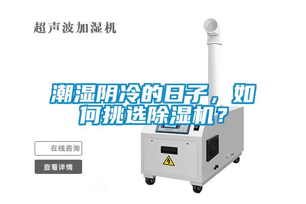 潮濕陰冷的日子，如何挑選除濕機？