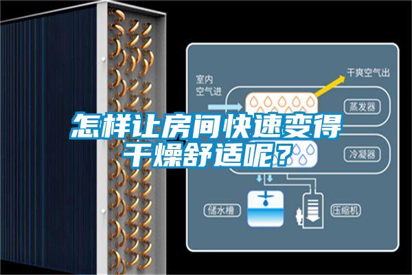 怎樣讓房間快速變得干燥舒適呢？
