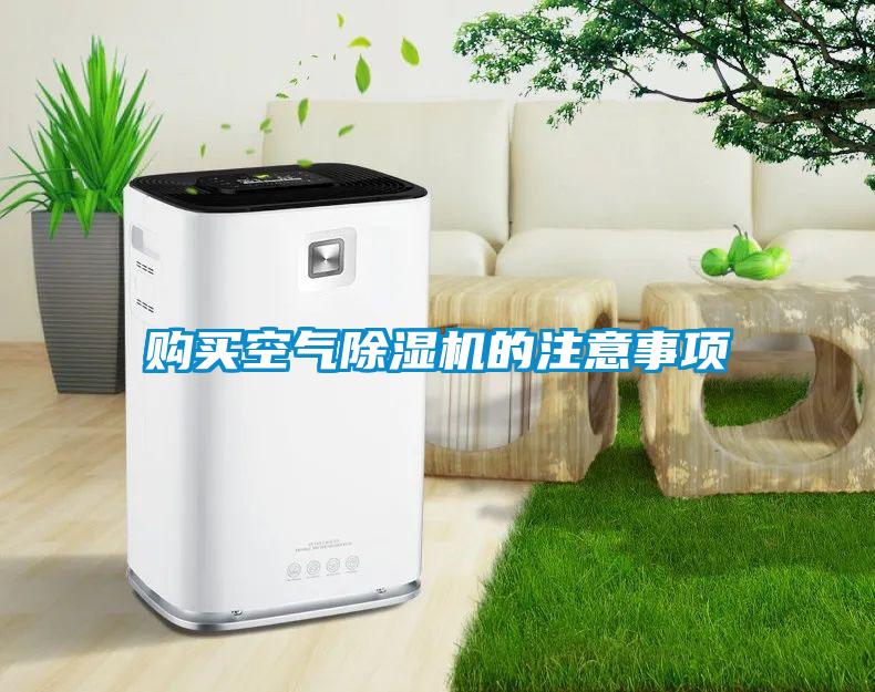 購(gòu)買(mǎi)空氣除濕機(jī)的注意事項(xiàng)