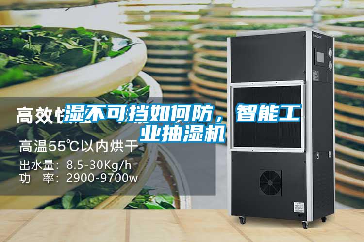 濕不可擋如何防，智能工業(yè)抽濕機(jī)