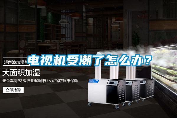 電視機(jī)受潮了怎么辦？