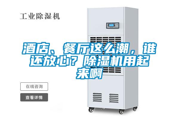 酒店、餐廳這么潮，誰還放心？除濕機(jī)用起來啊