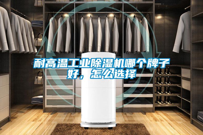 耐高溫工業(yè)除濕機哪個牌子好，怎么選擇