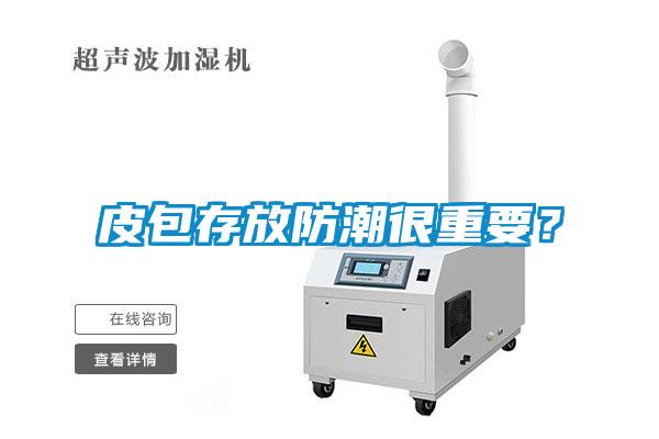 皮包存放防潮很重要？