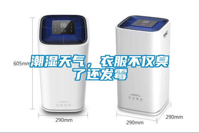 潮濕天氣，衣服不僅臭了還發(fā)霉