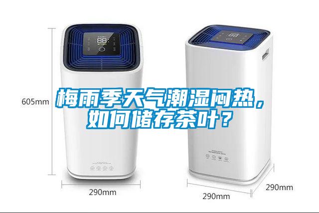 梅雨季天氣潮濕悶熱，如何儲存茶葉？
