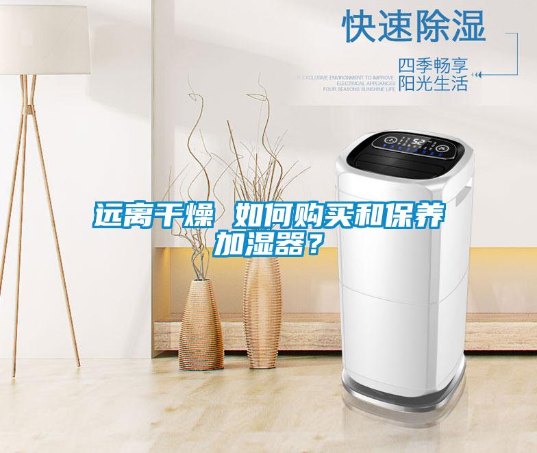遠離干燥 如何購買和保養(yǎng)加濕器？