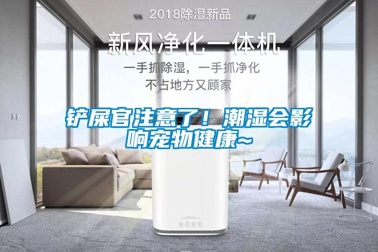 鏟屎官注意了！潮濕會(huì)影響寵物健康~