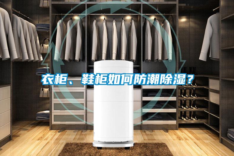 衣柜、鞋柜如何防潮除濕？