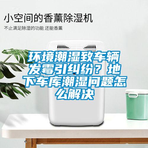 環(huán)境潮濕致車輛發(fā)霉引糾紛？地下車庫潮濕問題怎么解決
