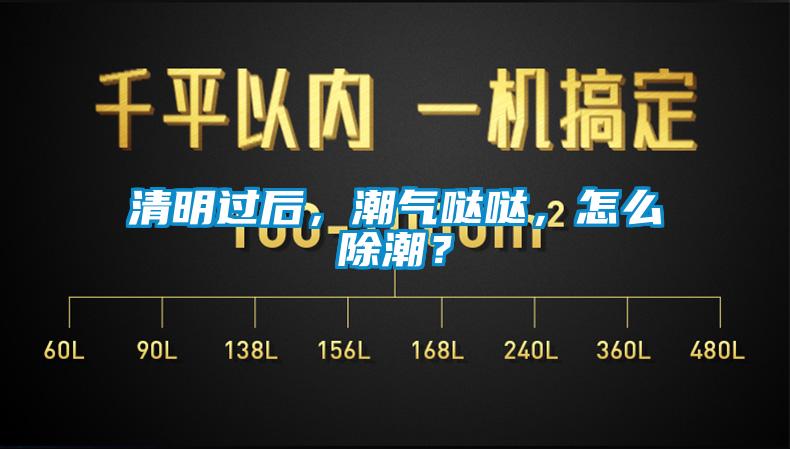 清明過(guò)后，潮氣噠噠，怎么除潮？