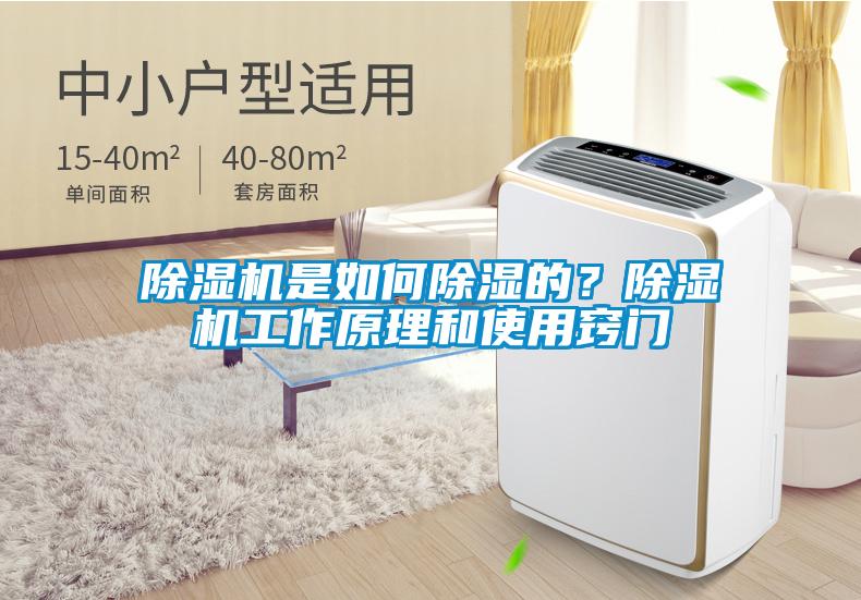 除濕機(jī)是如何除濕的？除濕機(jī)工作原理和使用竅門(mén)