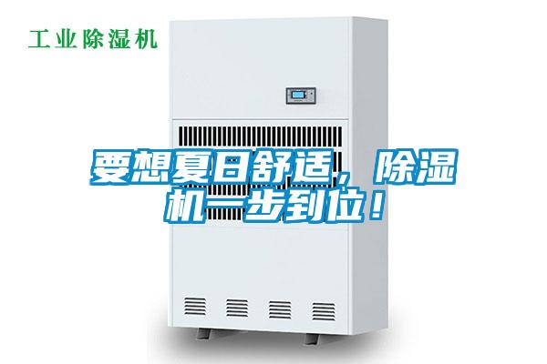 要想夏日舒適，除濕機(jī)一步到位！